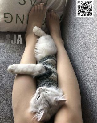 亲爱的热爱的2